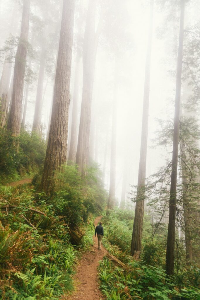 What Is The Easiest Mountain To Hike In California?