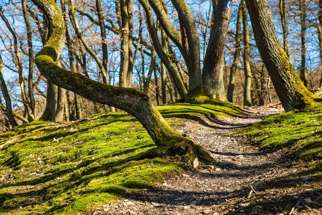 Is Eagle Rock A Hard Hike?