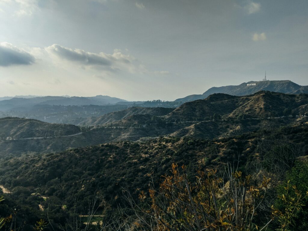 Why Is Runyon Canyon So Popular?