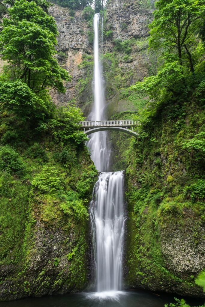 What Is The Most Popular Trail In Redwood National Park?