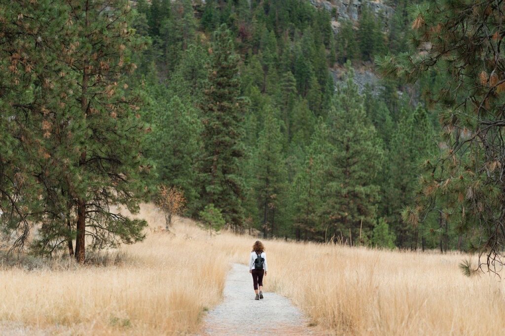 Are There Any Secluded Trails Suitable For Couples In Northern California?