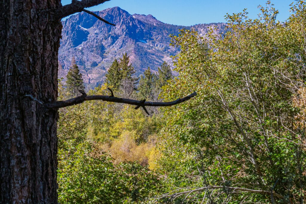 What Is The Hardest Hike In Lake Tahoe?