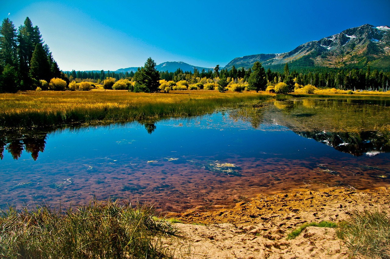 Where Can I Walk Around North Lake Tahoe?